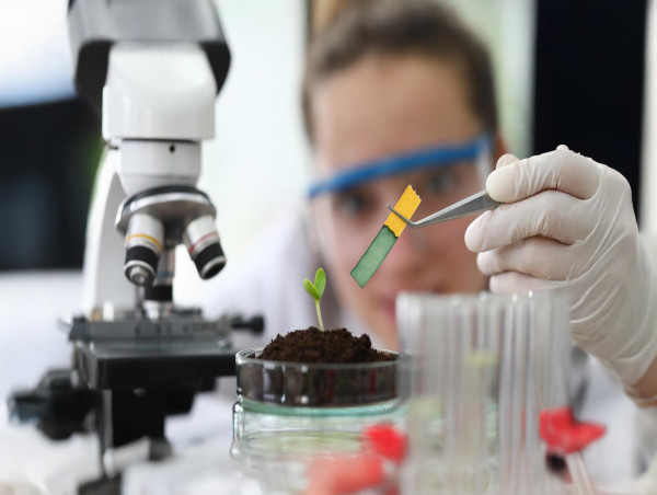  Medical Biotechnology in the Age of Personalised Medicine: Preparing Scientists for the Future of Healthcare 