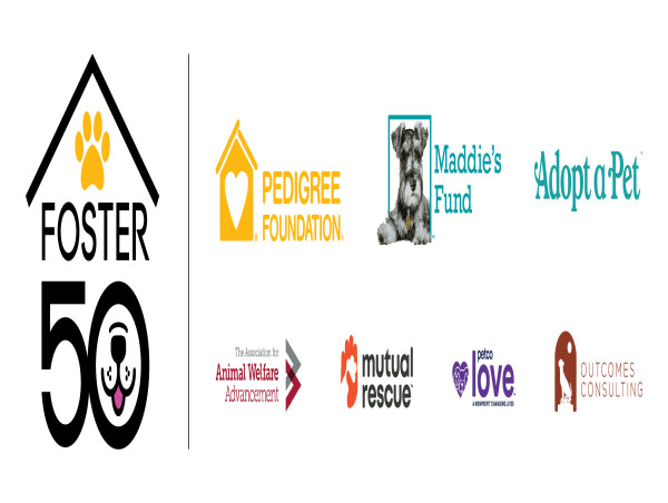 Foster 50 Encourages Pet Parents to Foster a New Best Friend This Summer