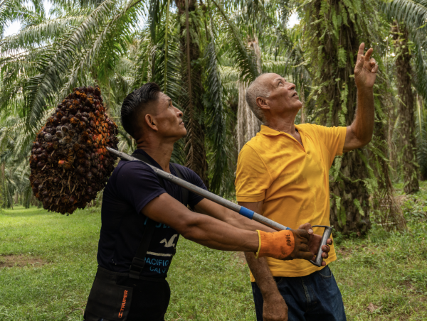  Dinant Marks World Environment Day with Renewed Commitment to Sustainability 
