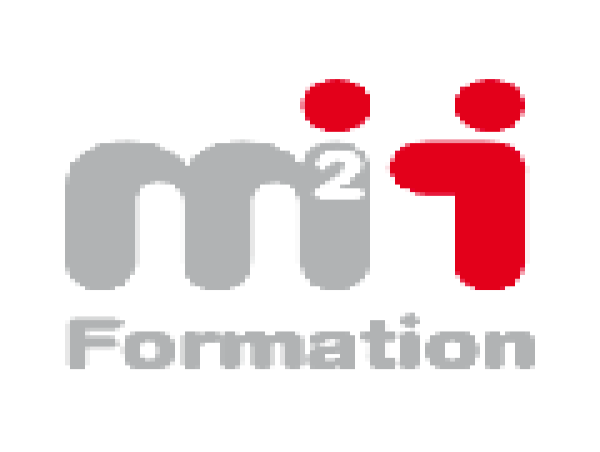M2I : Mise A Disposition Des Informations Relatives Aux Caracteristiques, Notamment Juridiques, Financieres Et Comptables De M2I