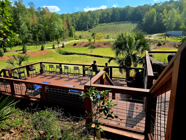  Arabia Mountain Vineyard Debuts Brand Refresh, Opens to Public with 'First Pour' Experience 