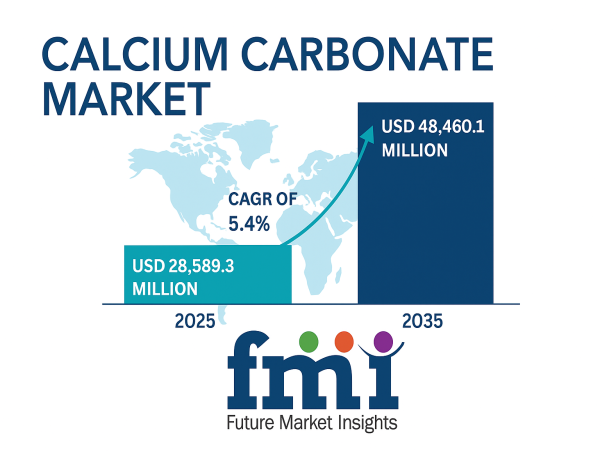  Nano-Precipitated Calcium Carbonate: The Silent Revolution Reshaping Industrial Fillers Market 