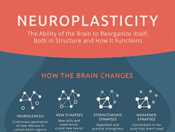  Neuroplasticity Market Growing Rapidly, Reaching USD 61.53 Billion by 2032 with a CAGR of 27.6% – Global Detailed Report 
