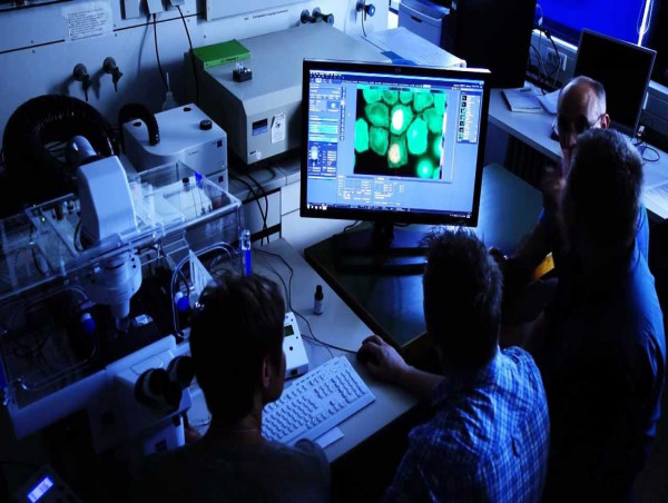  High Content Screening Market Set to Grow from $1.9B in 2025 to $3.1B by 2035 