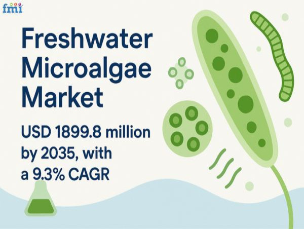  Freshwater Microalgae Market to Surpass USD 1.89 Billion by 2035 Driven by Nutraceutical Boom 
