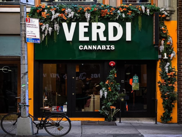  Three New York Dispensaries Illustrate the State’s Expanding Cannabis Landscape 