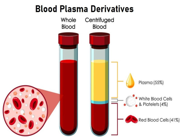  Blood Plasma Derivatives Market Expected to Reach USD 98.69 Billion by 2032, Growing at 9.3% CAGR 
