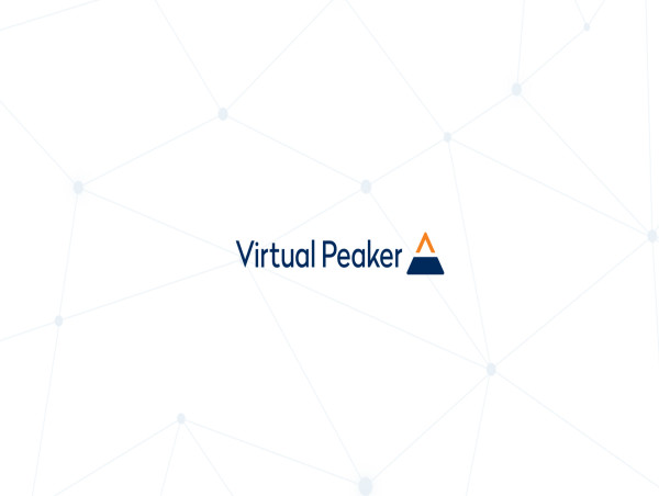 Virtual Peaker to Host Expert Webinar on API Integrations for Seamless DER System Interoperability