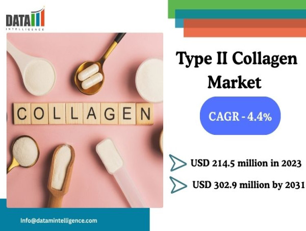  Type II Collagen Market Set to Reach $302.9M by 2031, Driven by Joint Health and Aging Trends | DataM Intelligence 