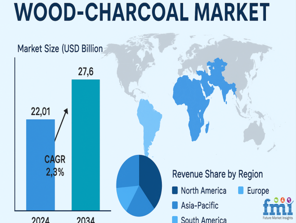  Beyond Barbecue: How Biochar and Industrial Fuel Use Are Reshaping the Wood-Charcoal Market 