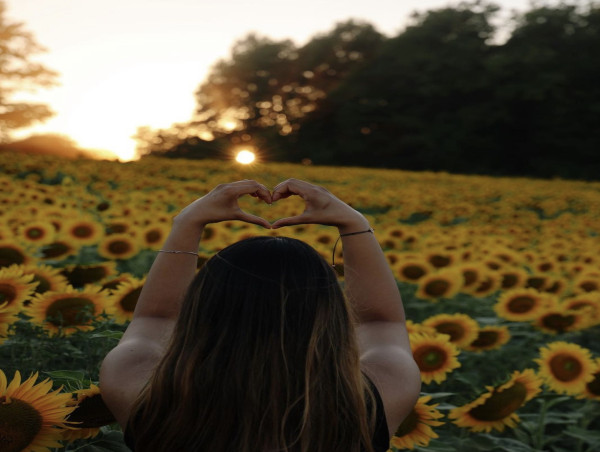 Sunflower Garden Festival Quickly Becoming One of Summer’s Hottest Tickets