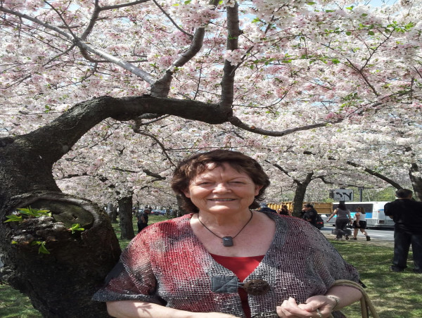 The Heart of Relationships Offers a Reflective Path to Deeper Human Connection