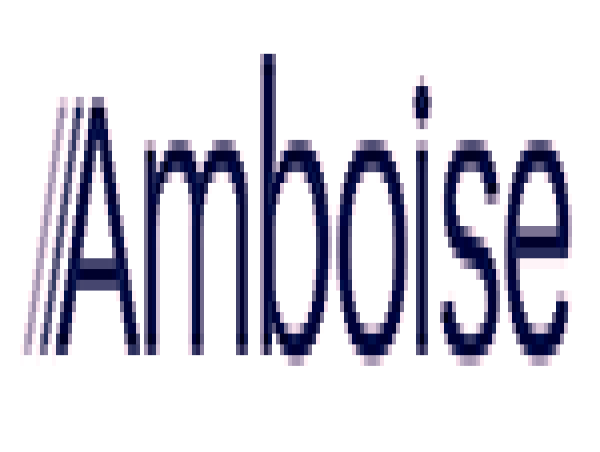  Amboise : Dépôt D'un Projet D'offre Publique D'achat Simplifiée Visant Les Actions Ordinaires De La Société Altamir Présentée Par Bnp Paribas Et Crédit Agricole Corporate Et Investment Bank 