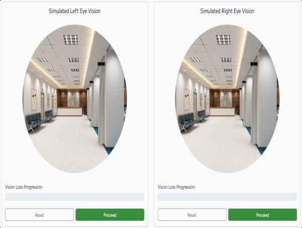 Experience Visual Impairment Through an Interactive Web Simulator 