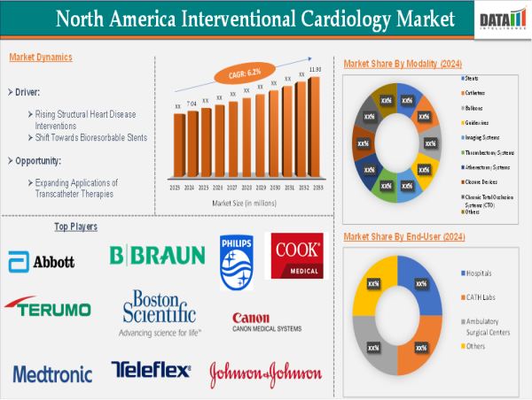  North America Interventional Cardiology Market Analysis 2025–2033 | Reaching $11.98 Billion by 2033 DataM Intelligence 