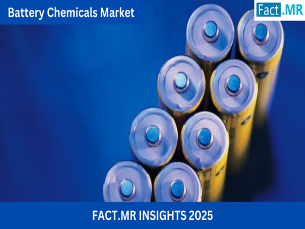  Battery Chemicals Market Size Expected to Reach US$ 415.6 Billion by 2035: Fact.MR Report 