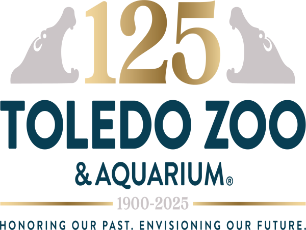  Toledo Zoo’s Expertise Helps Hatch Chicks of One of the World’s Rarest Birds 