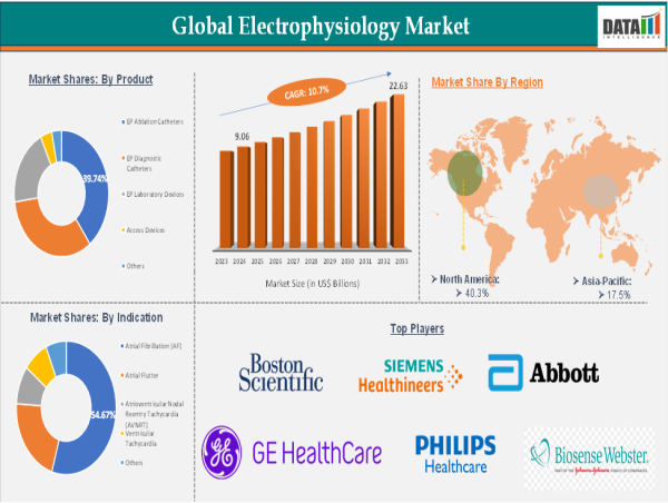  Electrophysiology Market Growth 2025-2033 | Insights by Region, Trends & Key Companies 