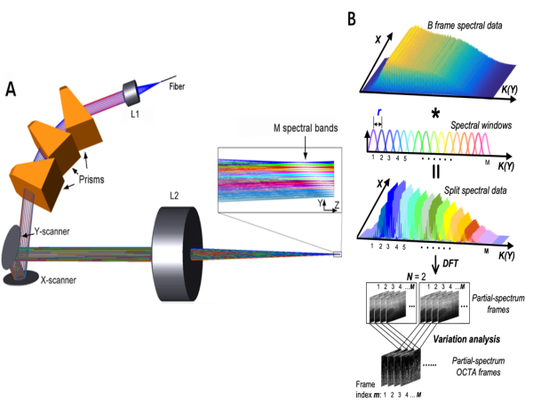  Wide-Field, Quantitative OCT Angiography with Spectrally Extended Line Field Technology 