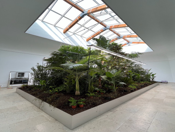  Vaisala CO2 sensors show trees' ability to manage indoor environments at Biennale di Venezia exhibition 
