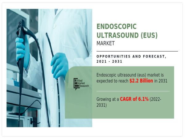  Endoscopic Ultrasound (EUS) Market Poised for Steady Growth: Driven by Chronic Disease -Forecast- 2031 