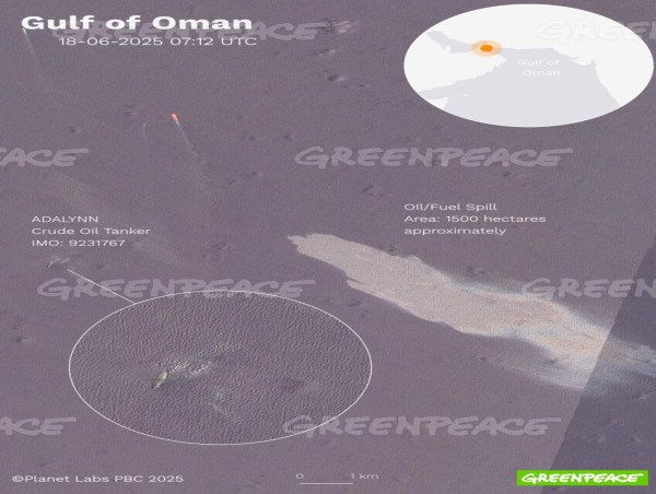  Greenpeace MENA on Gulf of Oman oil spill: Swift intervention needed to prevent environmental disaster 