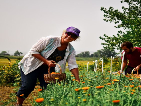  Colorado Aromatics Farm Hosts Esthetician Students for Herbal Skincare Education 