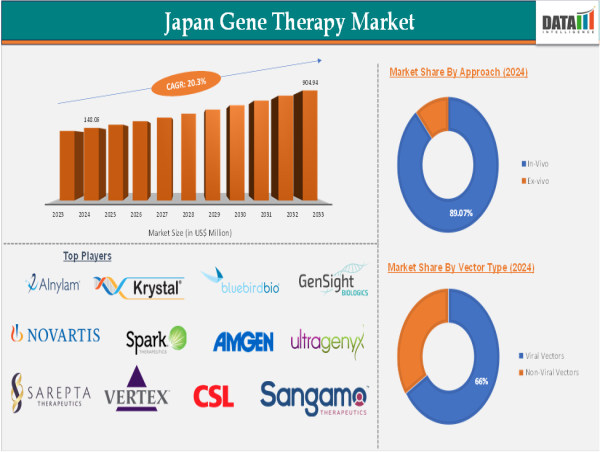  Japan Gene Therapy Market Growth: $148.06M in 2024 to $904.94M by 2033 | CAGR 20.3% 