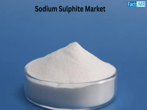  Sodium Sulphite Market is Set to Globally Reach US$ 131.3 Million by 2035 at 6.5% CAGR | Fact.MR 
