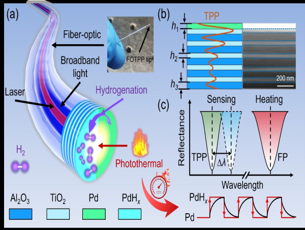 Photothermal synergistic fiber-optic Tamm plasmon polariton tip