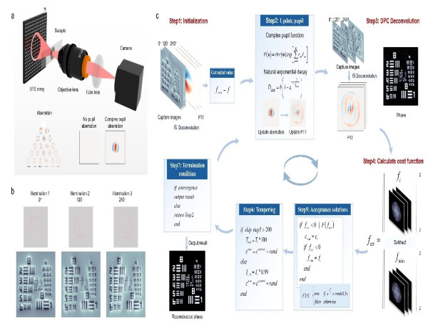 Aberration-Free Quantitative Phase Imaging