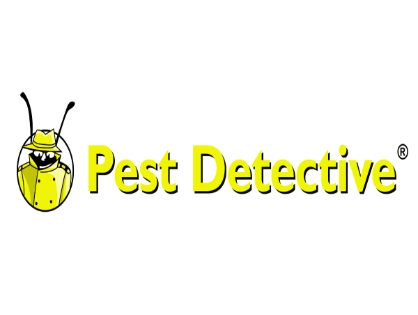  Pest Control Coquitlam: Surge in Carpenter Ant Activity Alarms Homeowners 