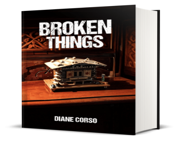 Diane Corso, Author of Skin and Bones, Releases Gripping New Thriller Broken Things