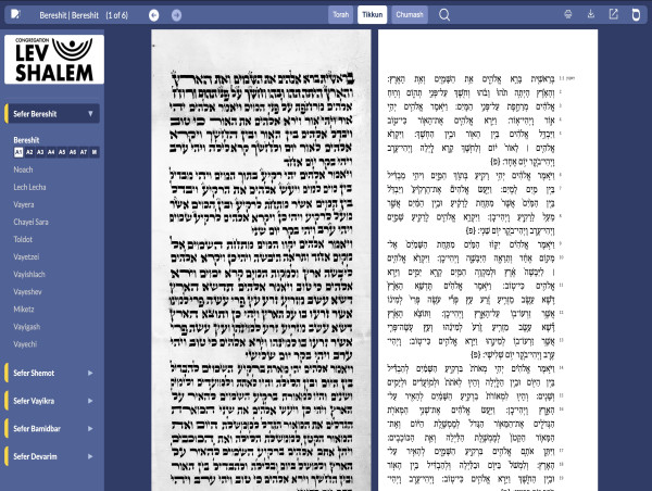 VIrtual Tikkun™ Transforms Torah Experience
