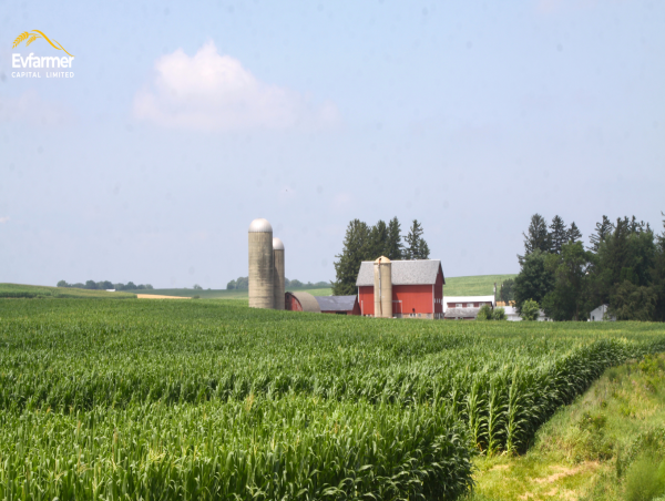 Evfarmer Announces Strategic Partnership with 34 Large-Scale Corn Farms in Pottawattamie County, Iowa, USA