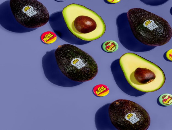 Cal Flavor Avocados – Now Served in Southern California Mendocino Farms