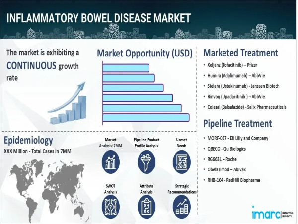 Inflammatory Bowel Disease Market Size to Reach USD 20.08 billion by 2035 - Report by IMARC Group