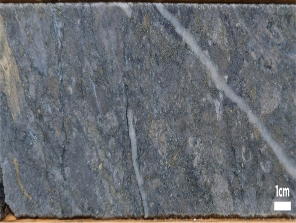  Onyx Gold Intersects 91 Meters of 1.8 g/t Gold, including 17 Meters of 5.3 g/t Gold in First Step-Out at Argus North Discovery, Munro-Croesus Project 