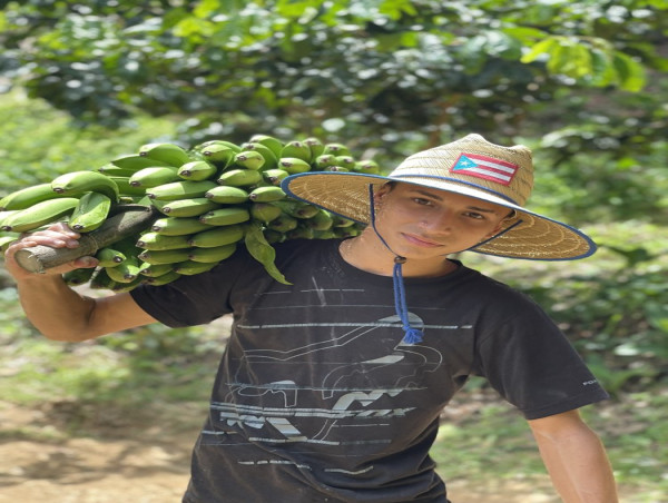  From Puerto Rico to NYC: How One Coffee Company Is Uplifting Micro-Farmers and Urban Communities 
