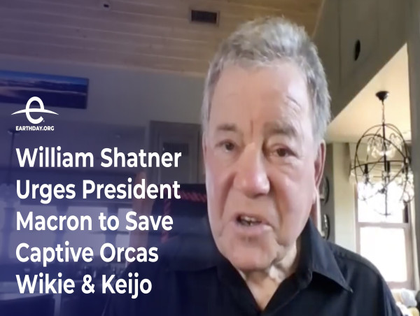 Star Trek icon William Shatner and EARTHDAY.ORG unite calling on President Macron to save captive orcas, Wikie and Keijo