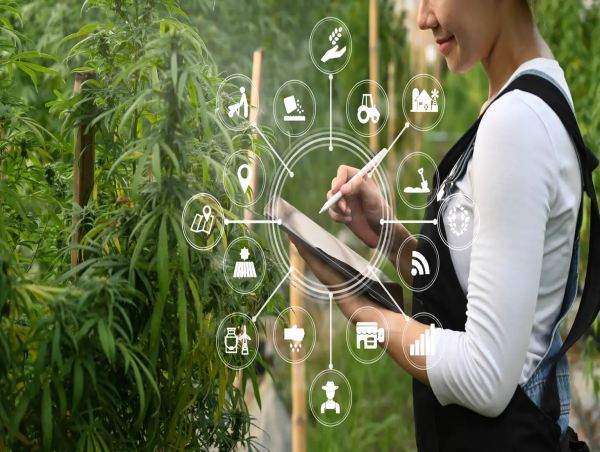  Cannabis Technology Market Is Booming So Rapidly 2025-2032 - Ardent Life, Inc., Demetrix, Inc, Courier Plus Inc. Dutchie 