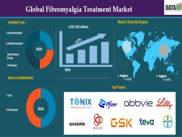  Fibromyalgia Treatment Market Growth | Trends, Innovations & Top Companies 2025 | DataM Intelligence 