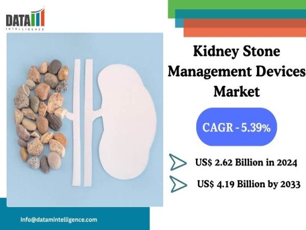 Kidney Stone Management Devices Market Set to Reach $4.19B by 2033 with Focus on Innovation and Minimally Invasive Care 