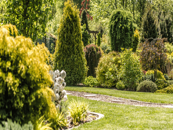  5,000 Trees and Shrubs Planted by Ecopro Home to Support Toronto’s Environment 