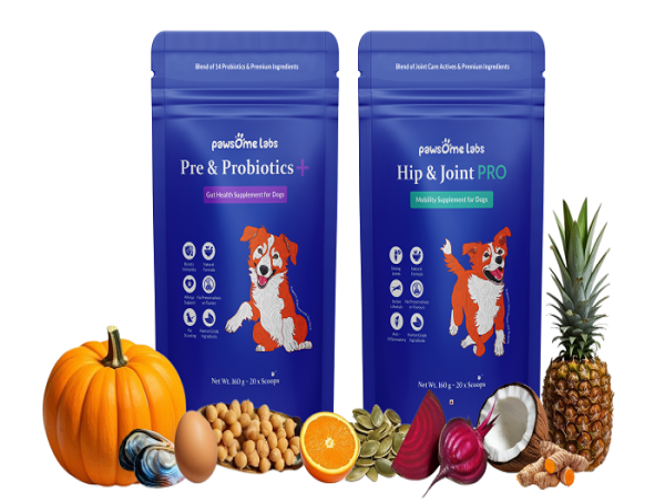  Pawsome Labs is Raising the Bar for Pet Wellness in India 