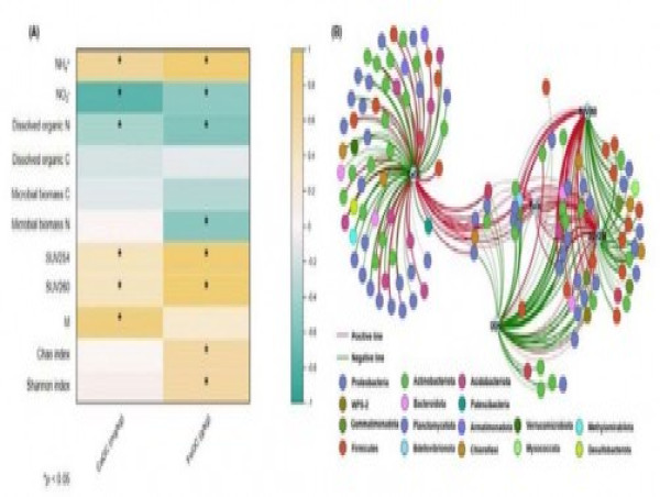  How soil viruses impact carbon emissions and sequestration 