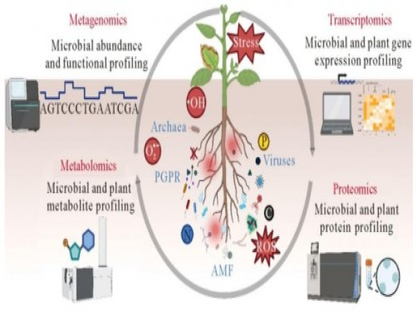  Soil microbes: the unsung heroes of agriculture in the face of salinity 