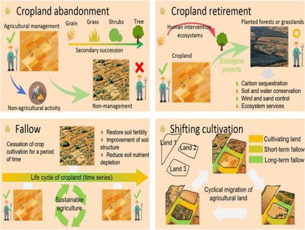 From fields to forests: tracking cropland abandonment from space