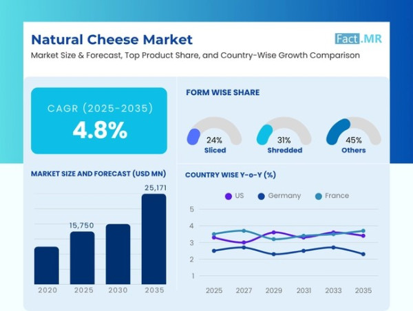 Natural Cheese Market to Reach USD 25.17 Billion by 2035 Amid Rising Demand for Clean-Label Products 