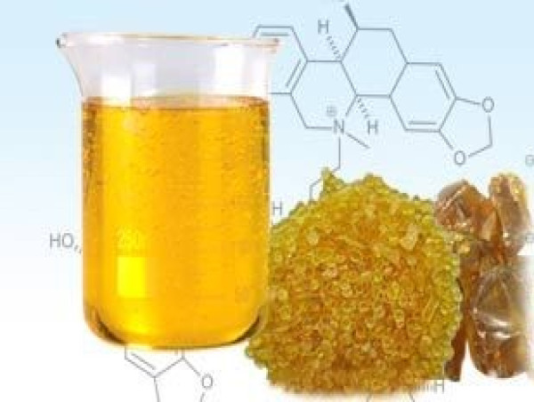  Expert Analysis on Phenolic Resin Market Size, Regional and Global Opportunity, Forecast till 2031 